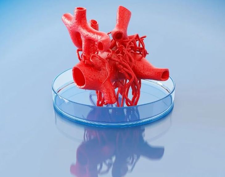 Bioprinting Blog Image 2