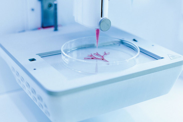 Bioprinting Blog Image 3 (3)